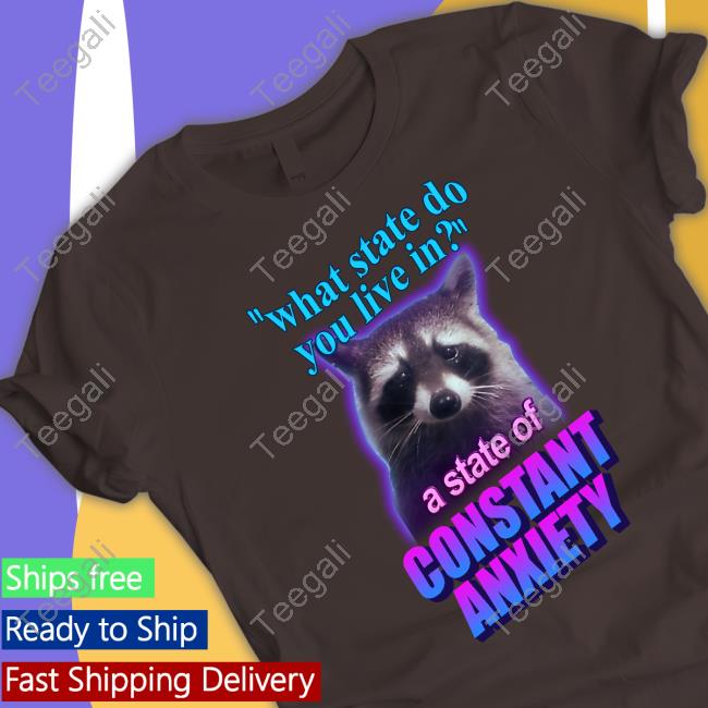 Snazzy Seagull What State Do You Live In A State Of Constant Anxiety Raccoon New Shirt